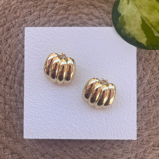 Coral Earrings